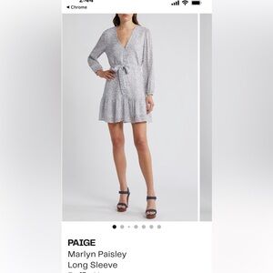 PAIGE Blue Floral Skater Skirt